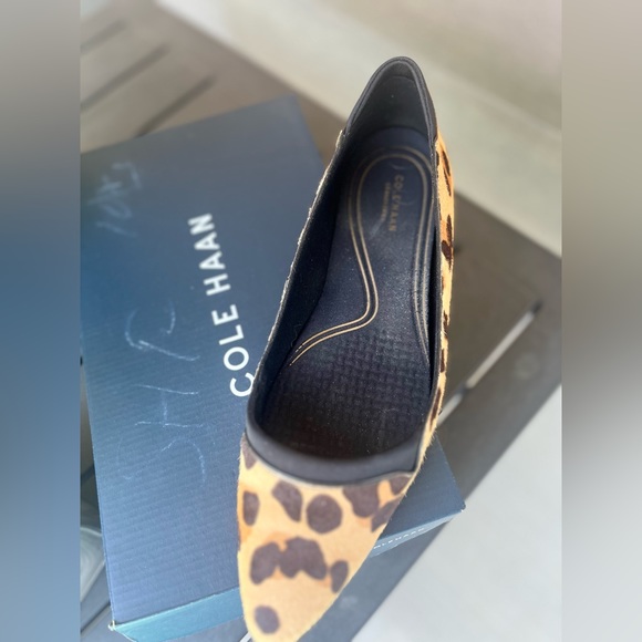 Cole Haan Grand Ambition Skimmer in Jaguar Haircalf - Picture 5 of 6